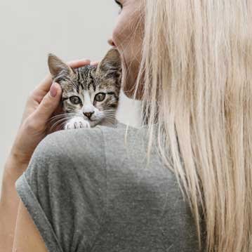 Integración de Power BI con otras plataformas en Palencia